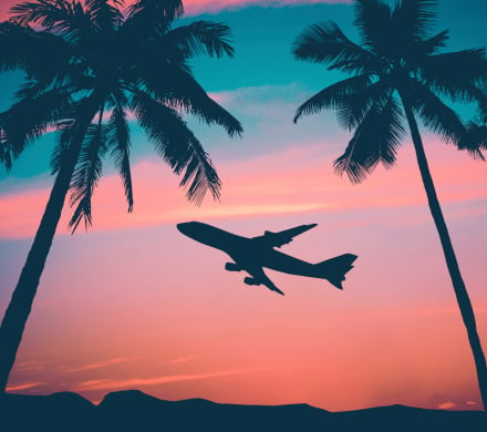 sunset with plane and palm trees