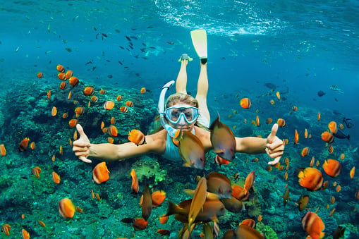 snorkeling with fish