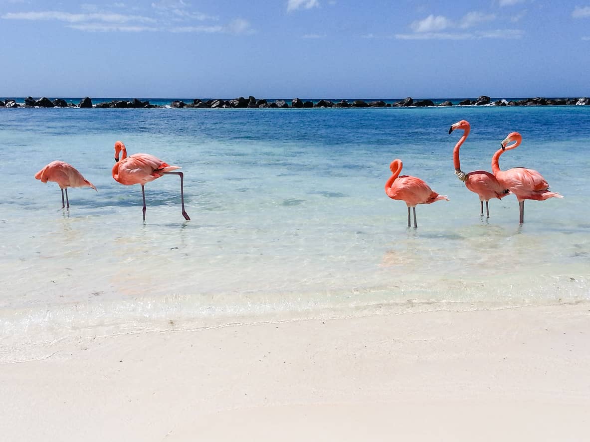 Baby-Natural-Bridge-Aruba-Excursion.jpg