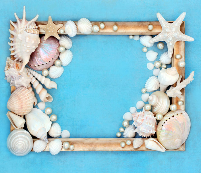 Seashell and pearl gold picture frame design on blue background