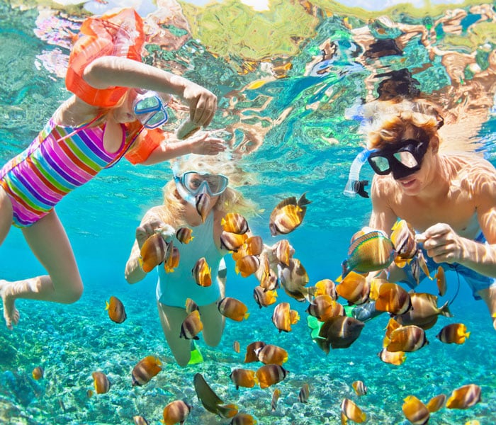 Underwater photo family snorkeling in the sea