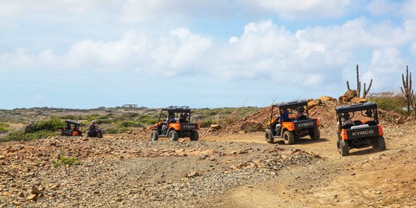 ATVs