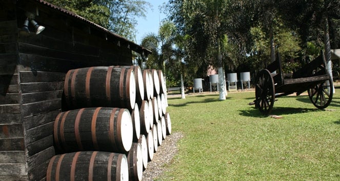 Appleton Rum Factory