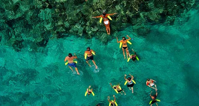 Group of people swimming