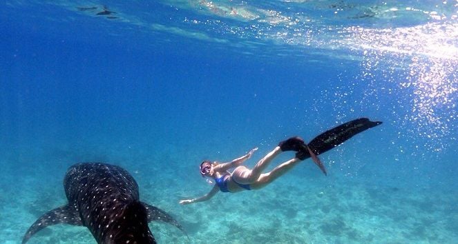 Cancun Diving