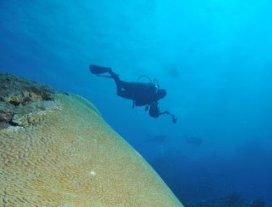 Snorkeling